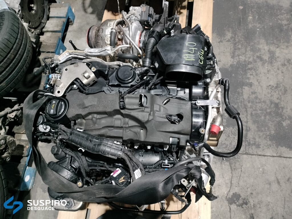 glc 2 (1)