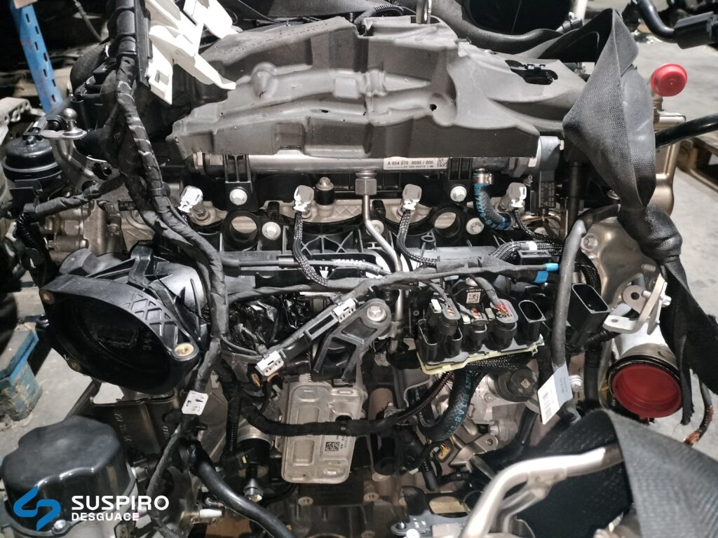 glc 5 (1)
