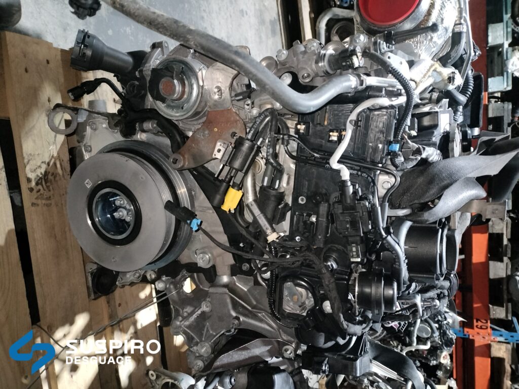 glc4 (1)